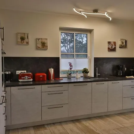 Feriehus Herring Gull Modern Retreat Bodstedt