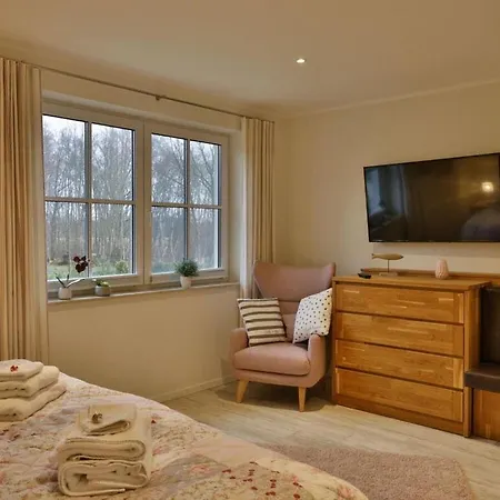 Herring Gull Modern Retreat Holiday home Bodstedt